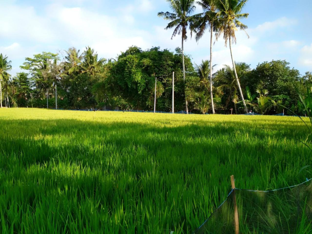 Uma Loka Villa By Shm Ubud  Exterior photo